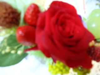 DSC02238.JPG
